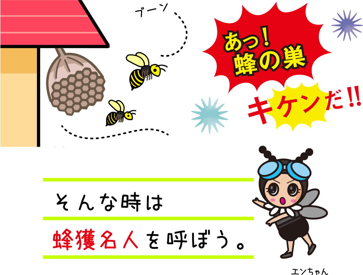 「あっ！蜂の巣」「キケンだ！！」そんな時は蜂獲名人を呼ぼう。