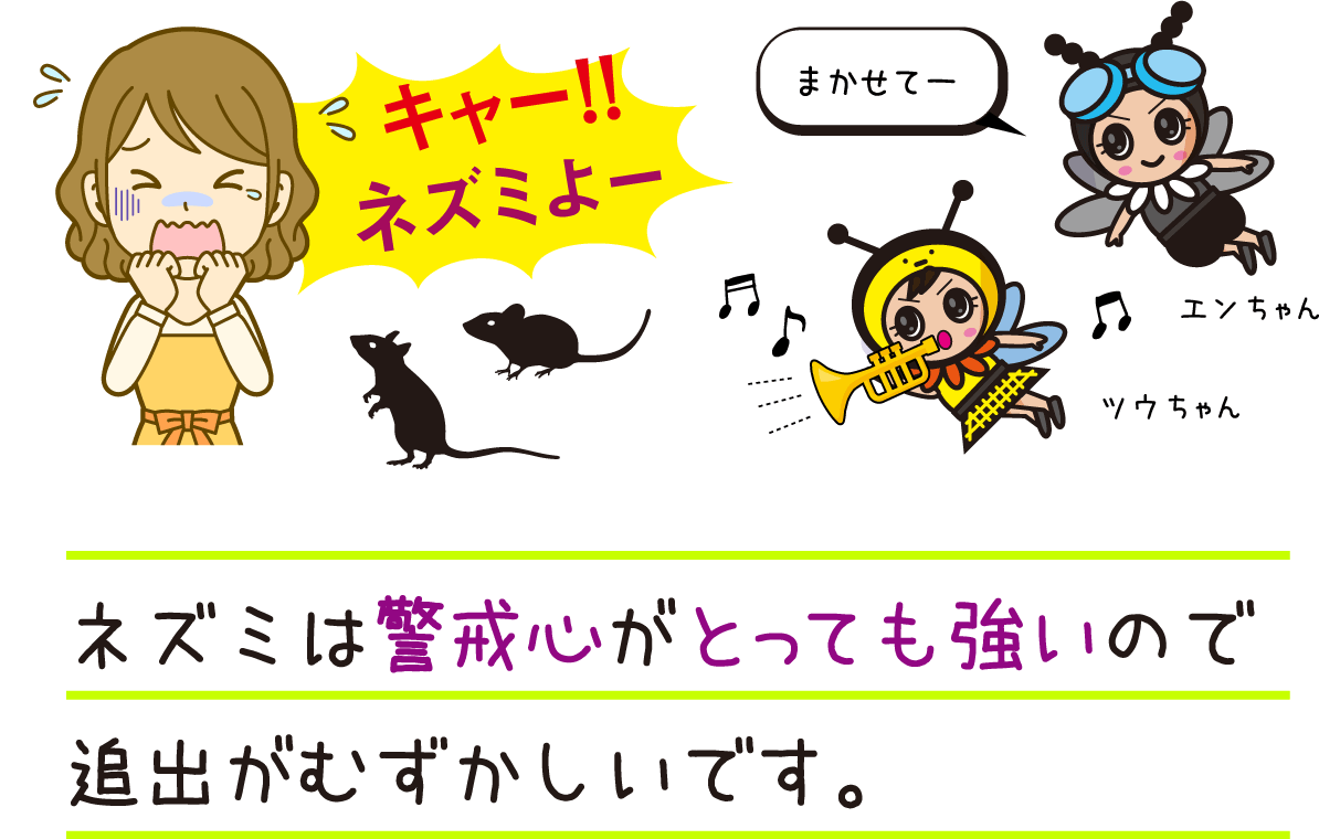 「キャー！！ネズミよー」ネズミは警戒心がとっても強いので追出がむずかしいです。